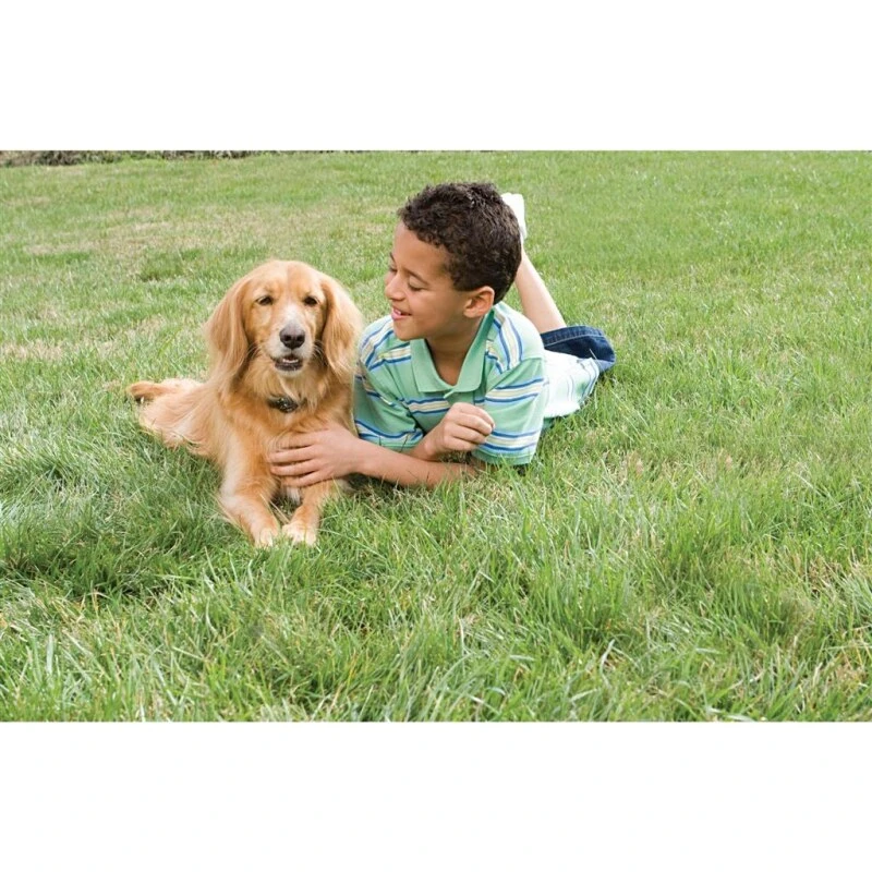 PetSafe Unsichtbarer Hundezaun »Classic« Erweiterbar Auf 4ha · Bis 18kg 5 PetSafe Unsichtbarer Hundezaun »Classic« Erweiterbar Auf 4ha · Bis 18kg – Bild 3