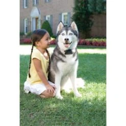 PetSafe Unsichtbarer Hundezaun »Super« Erweiterbar Auf 4ha · Ab 18kg -Zucht-Tierbedarf Store unsichtbarer hundezaun super erweiterbar auf 4ha ab 18kg4