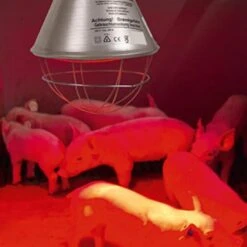 Stalllampe »Plus« Für Infrarot Rotlicht · Sparschalter, 2,5m Oder 5m -Zucht-Tierbedarf Store waermelampe stalllampe infrarot rotlicht sparschalter 25m 5m3