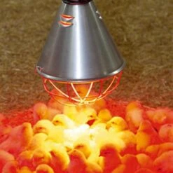 Stalllampe »Plus« Für Infrarot Rotlicht · Sparschalter, 2,5m Oder 5m -Zucht-Tierbedarf Store waermelampe stalllampe infrarot rotlicht sparschalter 25m 5m4