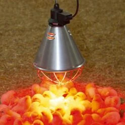 Stalllampe »Classic« Für Infrarotbirne, Infrarotstrahler · 2,5m -5m -Zucht-Tierbedarf Store waermelampe stalllampe infrarotbirne infrarotstrahler 25m 5m3