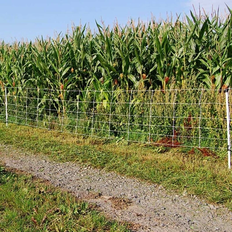 Wildschweinzaun »Euronetz« Wildschweinabwehr · 30m 1 Spitze, 75cm 9 Wildschweinzaun »Euronetz« Wildschweinabwehr · 30m 1 Spitze, 75cm – Bild 7
