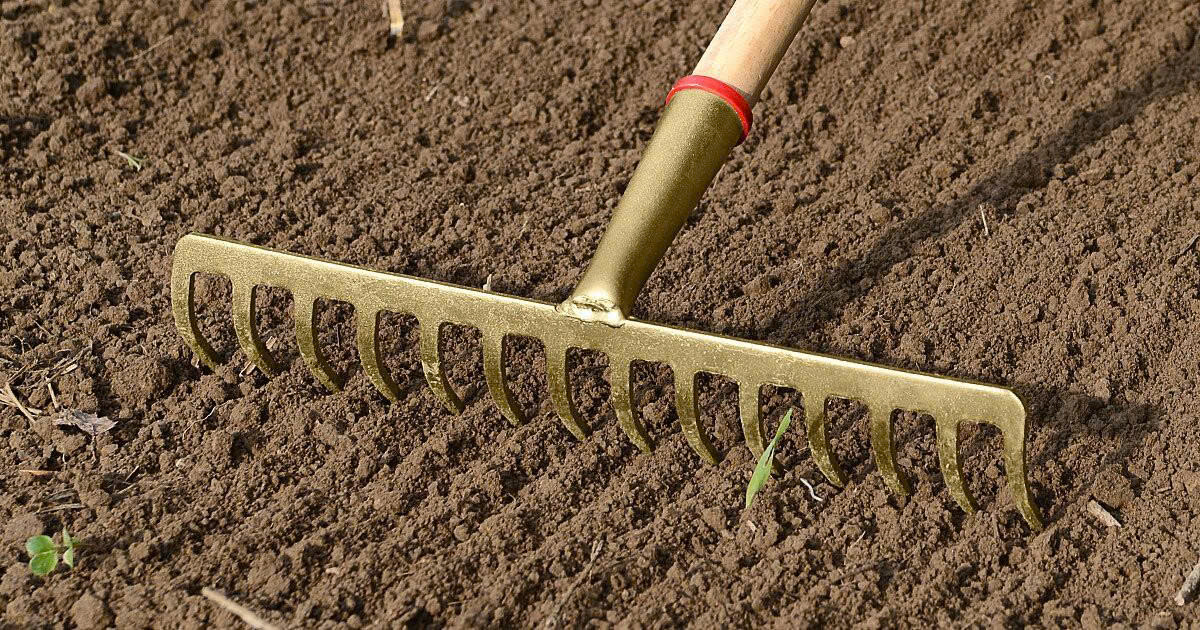 Zucht-Tierbedarf Store -Zucht-Tierbedarf Store z6717902463578 64064de2c816f6a32b8d72b2cc1ca2ff