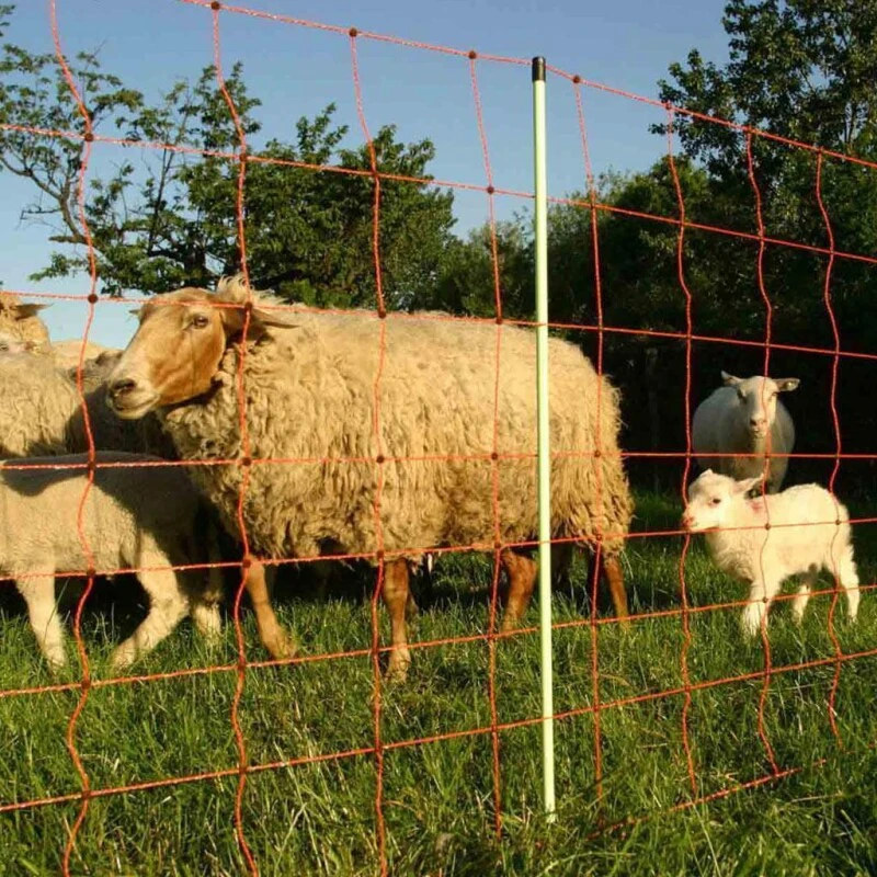 Schafzaun »Euronetz Torero Leitfix« Ziegenzaun · 50m 2 Spitzen, 106cm 9 Schafzaun »Euronetz Torero Leitfix« Ziegenzaun · 50m 2 Spitzen, 106cm – Bild 7